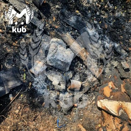 Мужчина, из-за которого, предположительно, пожар в Геленджике, злоупотребляет алкоголем и сидел в тюрьме