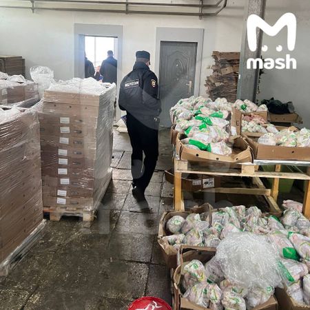 https://static.mash.ru/unsafe/rs:fit:600:450/czM6Ly9tYXNoL2ltYWdlLzIwMjMtMDgtMzAvNmE5ODExZWEtNDRjNy00NjM4LThjODQtZWM1MmIzY2MzMWNiL2U4NDA4MGQyLTZmMzgtNTg1OC04YTE1LTNiNmJkMzhkYjEwZC5qcGc