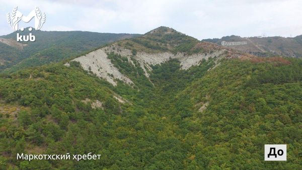 Восстановление сгоревшего леса в Геленджике может занять десятилетия