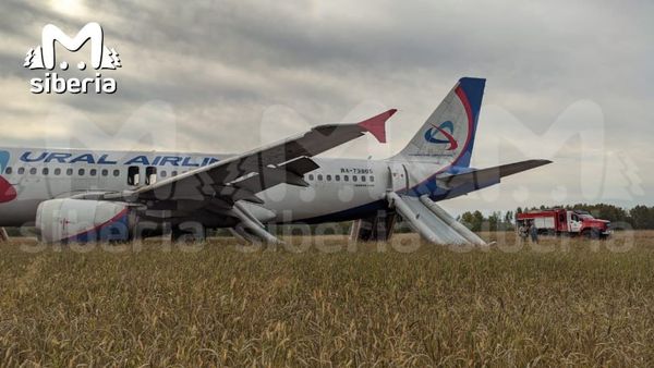 Появились первые кадры после аварийной посадки самолёта "Сочи — Омск" в поле