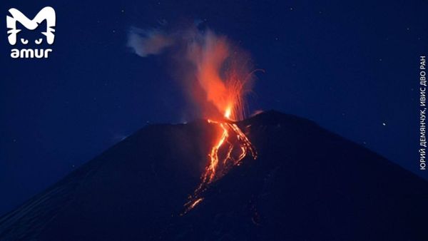 На Камчатке началось извержение Ключевской сопки: фото