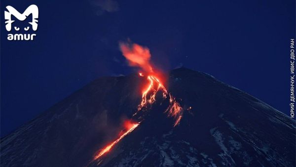 На Камчатке началось извержение Ключевской сопки: фото