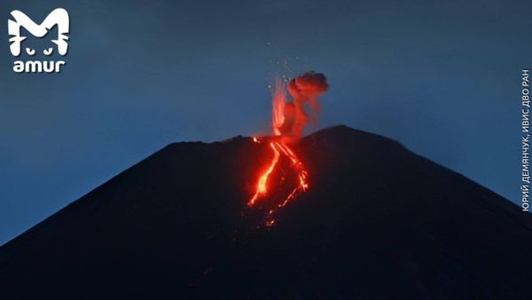 На Камчатке началось извержение Ключевской сопки: фото