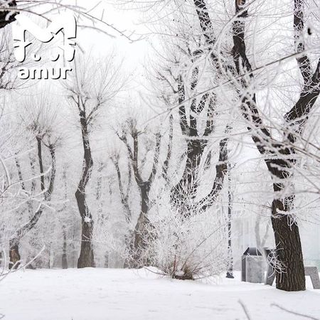 Комсомольск-на-Амуре побелел будто в сказке про Снежную королеву