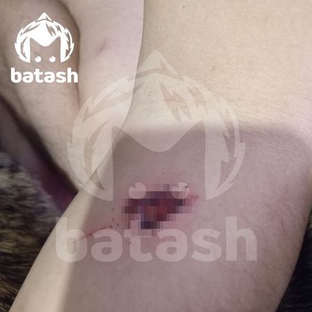 https://static.mash.ru/unsafe/rs:fit:600:450/czM6Ly9tYXNoL2ltYWdlLzIwMjMtMTItMDEvNTM0MGIzMTItNmUzNy00NjE4LTg5MzMtNWIyMDQ1NTA0YmNhLmpwZWc