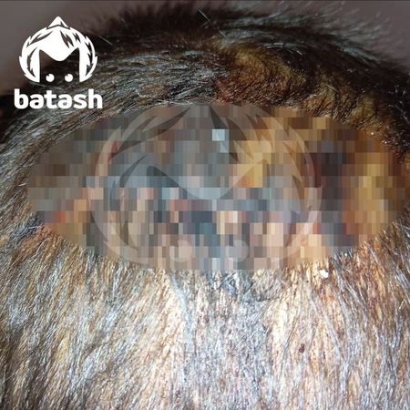 https://static.mash.ru/unsafe/rs:fit:600:450/czM6Ly9tYXNoL2ltYWdlLzIwMjMtMTItMDEvNzY1NGE2ZGEtOTlmYi00MjdmLTkxZDQtNzNiMDhmZmQ4MzFhLmpwZWc