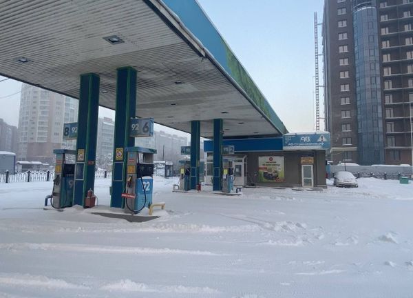 На имущество депутата Гольдмана наложили арест