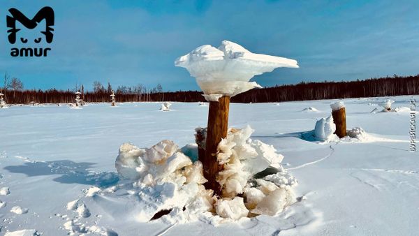 В Амурской области около Бурейской ГЭС выросли ледяные грибы