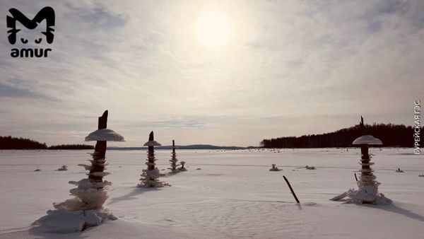 В Амурской области около Бурейской ГЭС выросли ледяные грибы