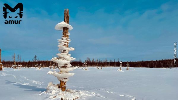 В Амурской области около Бурейской ГЭС выросли ледяные грибы