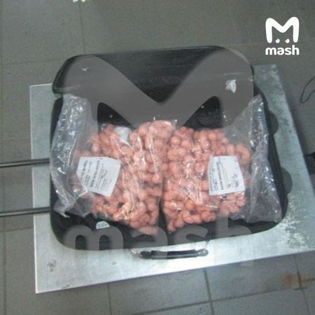 На пункте пропуска в Ленобласти в сумке приезжей обнаружили муляжи человеческих эмбрионов