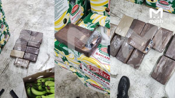В Большом порту Санкт-Петербурга в партии бананов из ЕС нашли 11 кг кокаина