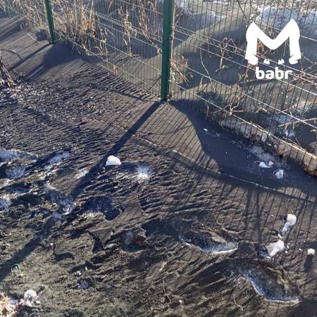 Чёрный снег и серый лёд обнаружили на территории школы-сада посёлка Дзержинск