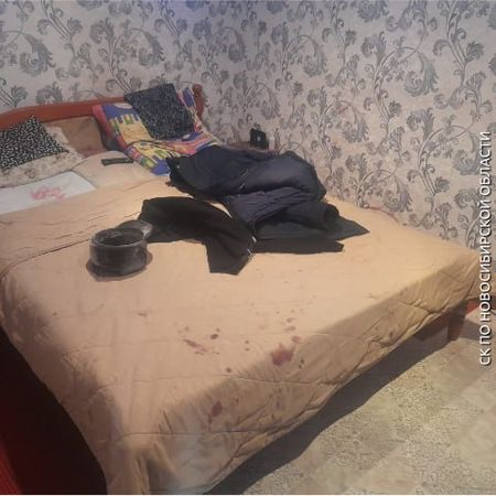 Внук чуть не убил бабушку с дедушкой в Новосибирской области