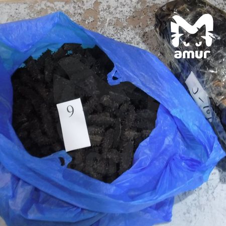 Крупнейшую за полвека партию трепанга пытались вывезти из Амурской области