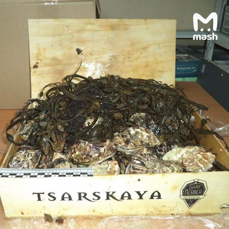Таможенники на границе с Беларусью обнаружили 700 кг устриц и лобстеров, спрятанных в мебели