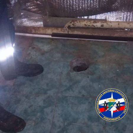Спасатели в Новосибирске вскрыли пол, чтобы вытащить из-под него котёнка