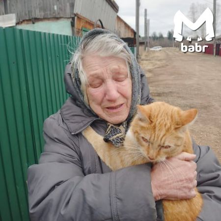 Котика, который три дня просидел на столбе в Вихоревке, спасли