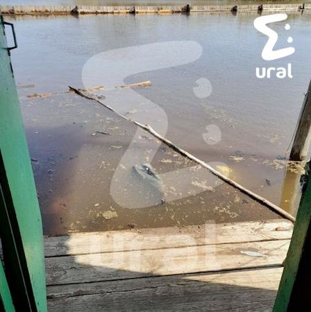 Курганские чиновники заявили, что затопленные дома в области пригодны для проживания — поэтому выплат в 10к не будет
