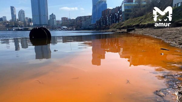 Море у берегов Владивостока окрасилось в ржавый цвет