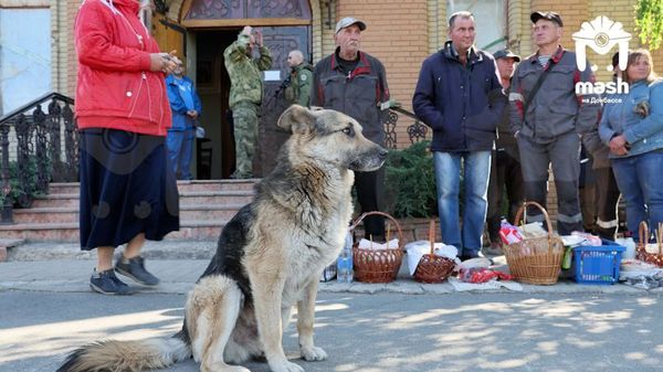 Пасха прошла в освобождëнной Авдеевке