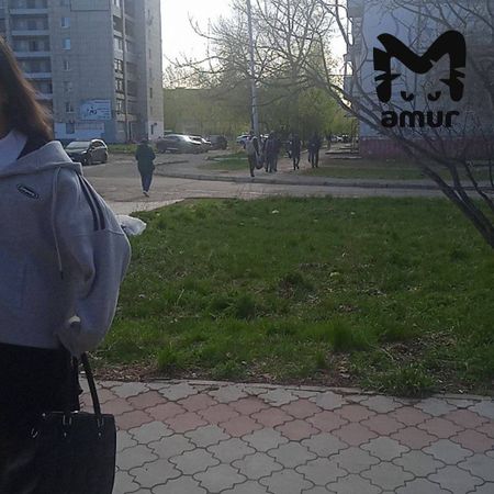 23-ю школу эвакуировали в Комсомольске-на-Амуре из-за стиральной машины