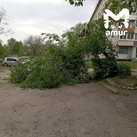 Ураганный ветер бушует в Хабаровске