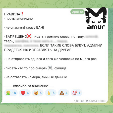 Владивостокские школьники создали новый буллинг-канал в Telegram после удаления предыдущего