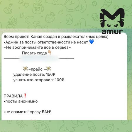 Владивостокские школьники создали новый буллинг-канал в Telegram после удаления предыдущего