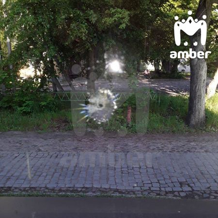Неизвестный расстрелял окна пенсионерки в Багратионовске