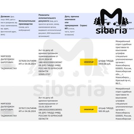 Новосибирские приставы взыщут с террориста Мирзоева дорожные штрафы