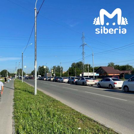 В Кировском районе Новосибирска не исчезают пробки из-за сломанных светофоров