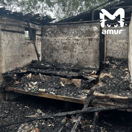 Появились кадры приюта для бездомных животных после пожара в посёлке Ванино