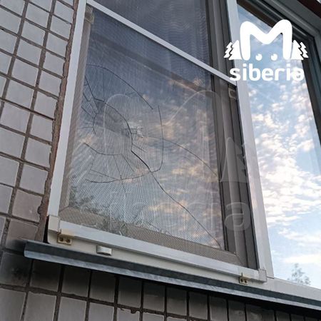 Новосибирцу облили кислотой машину