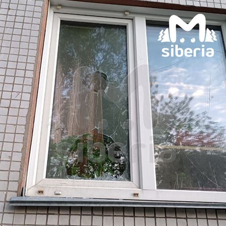 Новосибирцу облили кислотой машину