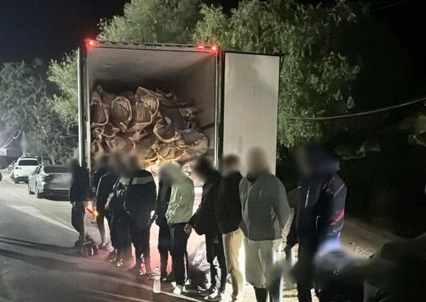 16 украинцев попытались сбежать от мобилизации в Молдавию в фургоне со свининой