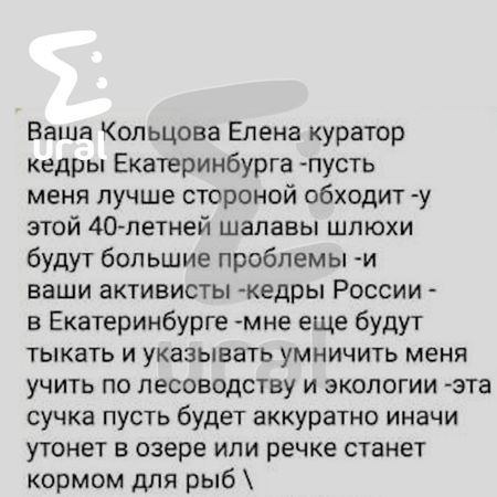Дом экоактивистки, которая защищает Екатеринбург от вырубки, могли поджечь