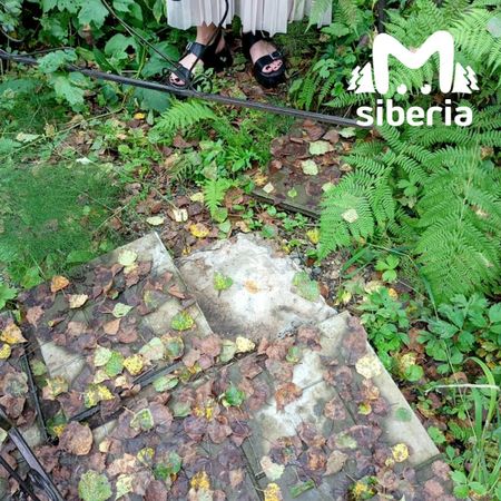 Вандалы повредили больше 30 могил на городском кладбище в Мысках