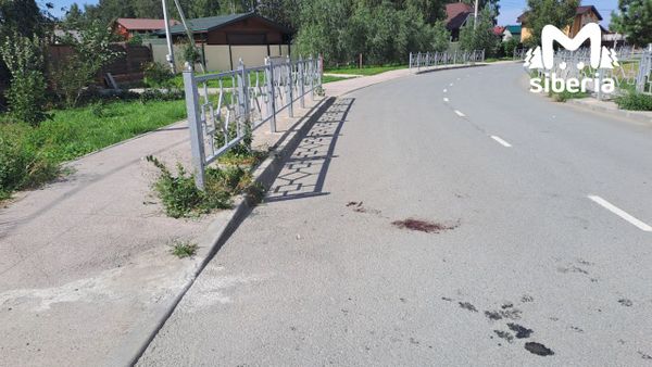 Двое подростков разбились на мотоцикле в Бердске