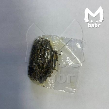 Задержан директор одного из крупнейших детских лагерей Бурятии