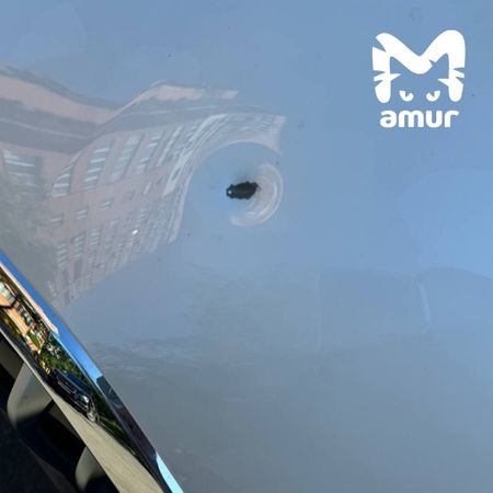 Стрелок по элитным авто появился во Владивостоке