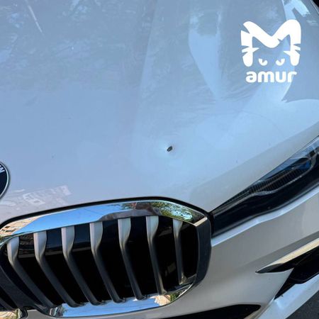 Стрелок по элитным авто появился во Владивостоке