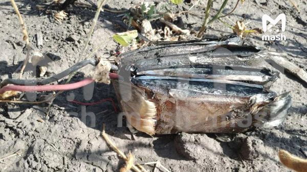 В Курской области сбили трёхметровый дрон, предварительно, это новый БПЛА "Паляниця"