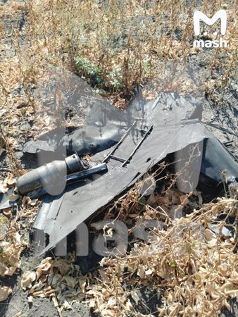 В Курской области сбили трёхметровый дрон, предварительно, это новый БПЛА "Паляниця"