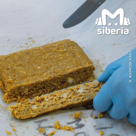 Студентка НГТУ придумала новый способ утилизировать пластик — скармливать его восковой моли