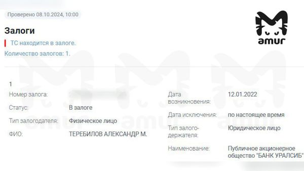 Мэр Дальнегорска паркует свой Lexus на местах для инвалидов