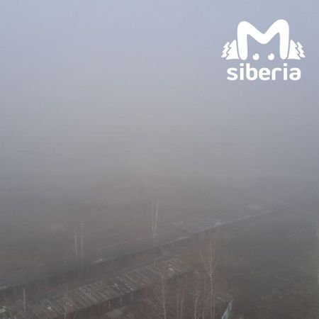 Новосибирцы пожаловались на очень грязный воздух