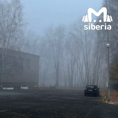 Новосибирцы пожаловались на очень грязный воздух