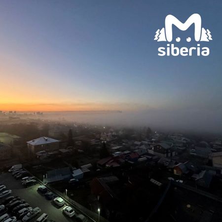 Новосибирцы пожаловались на очень грязный воздух