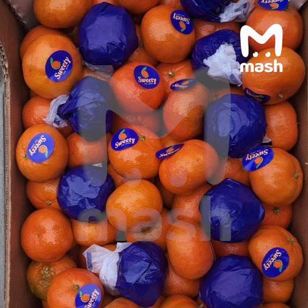 В Новороссийске мелкая плодовая муха уничтожила почти 23 тонны мандаринов